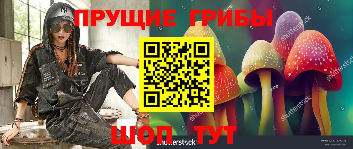 Галлюциногенные грибы Magic Shrooms Петропавловск-Камчатский