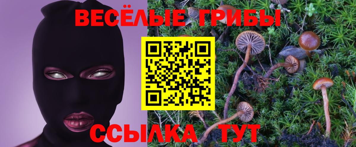 Петропавловск-Камчатский  Галлюциногенные грибы ЛСД  Галлюциногенные грибы Cubensis  Вход с VPN 